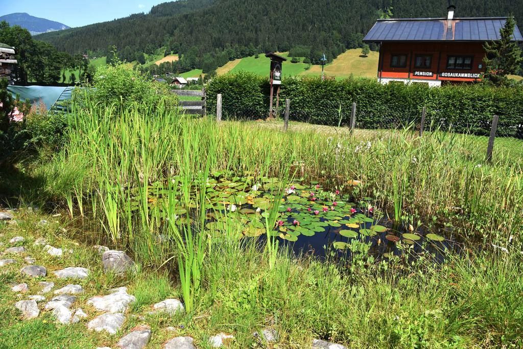 Fruehstueckspension Pachler Gosau Extérieur photo