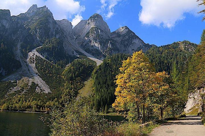 Fruehstueckspension Pachler Gosau Extérieur photo
